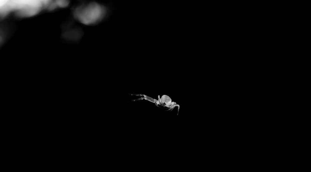 Photograph by Михаил Косолапов