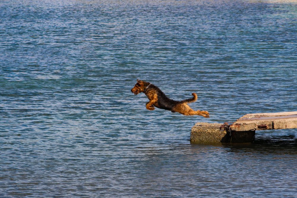 Photograph by Алексей Власов