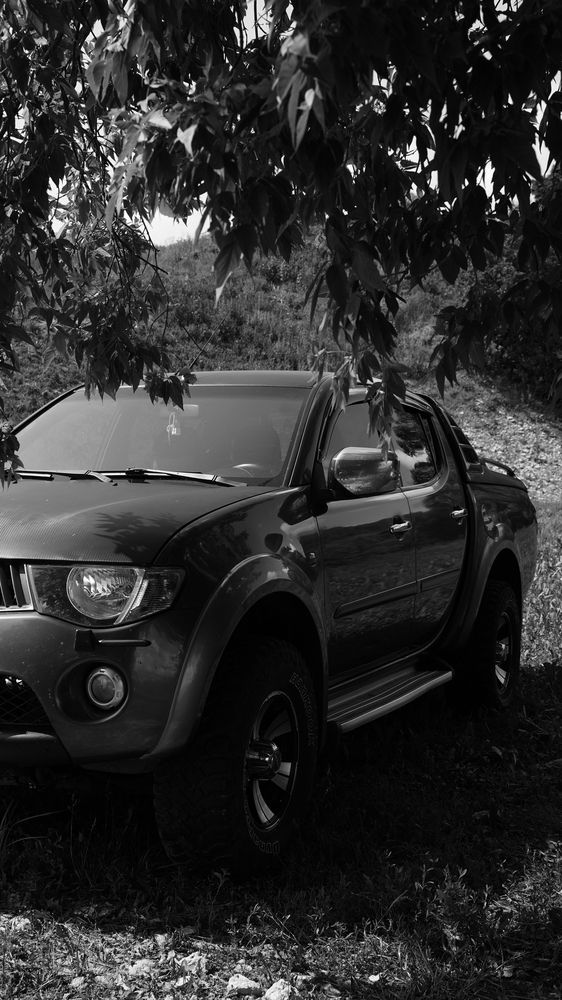 Фотография автора Алена Баулина