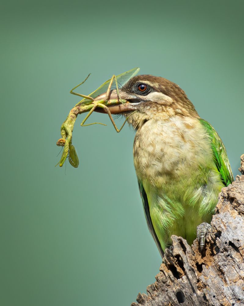 Photograph by Mahesh Kumar V Kolekar