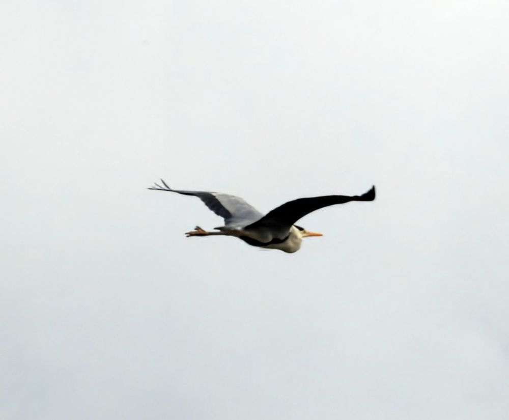 Photograph by Александр Шаварин