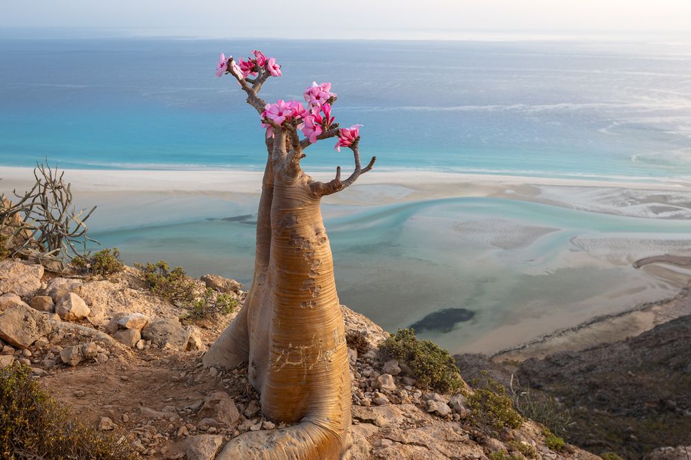 Photograph by Татьяна Тамошинская