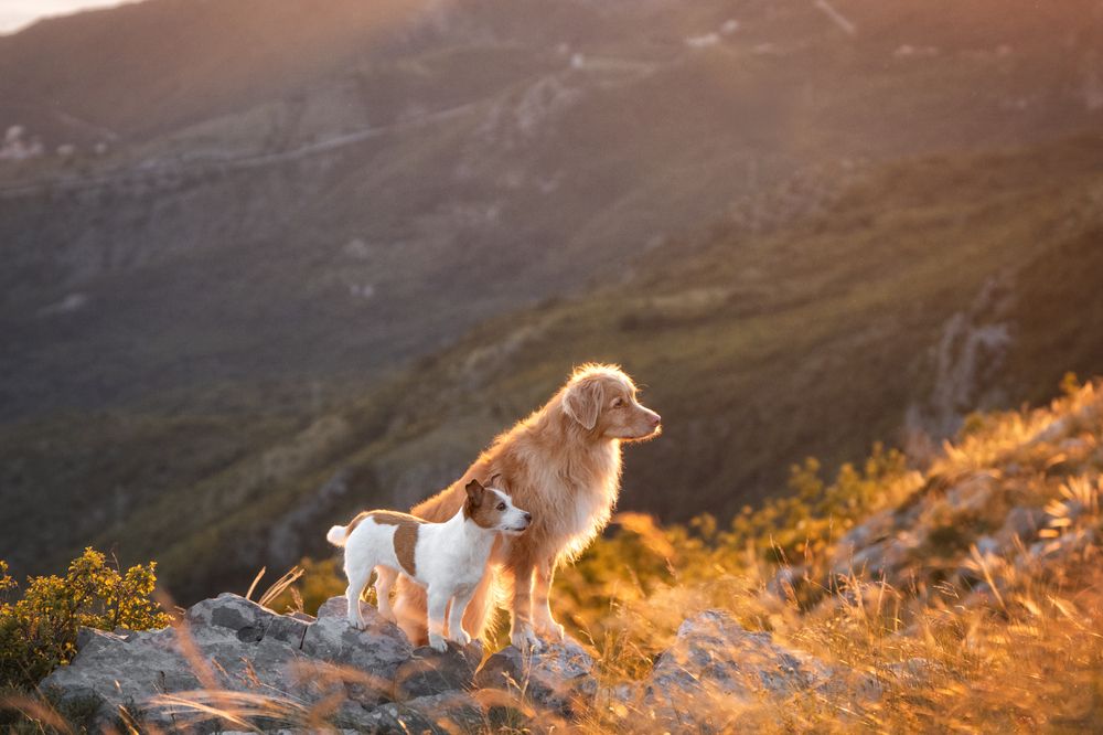 Photograph by Андрианова Ирина