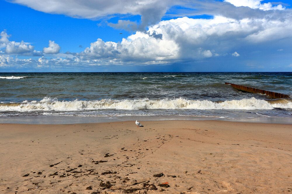 Фотография автора Светлана Долотова