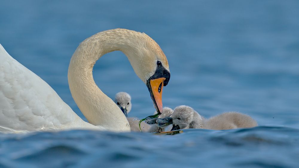 Photograph by Valery Zmachynski