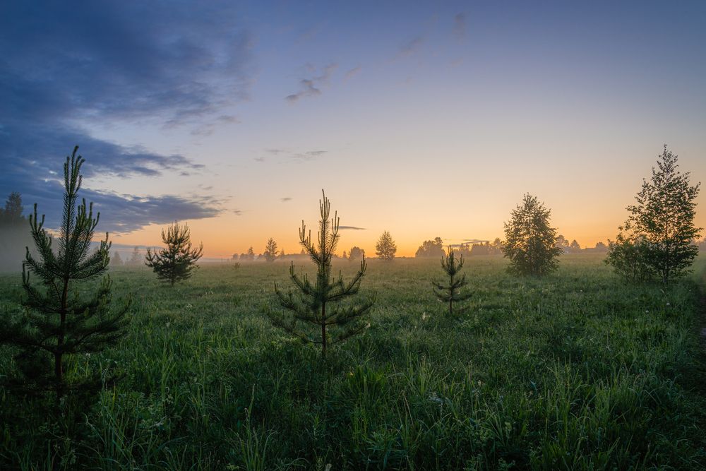 Photograph by Кокорин Алексей