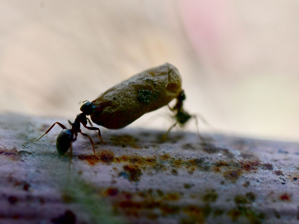 Photograph by Николай Абакумов