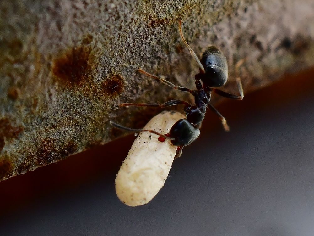 Photograph by Николай Абакумов