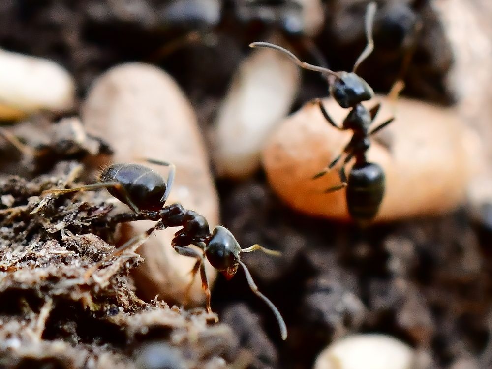 Photograph by Николай Абакумов