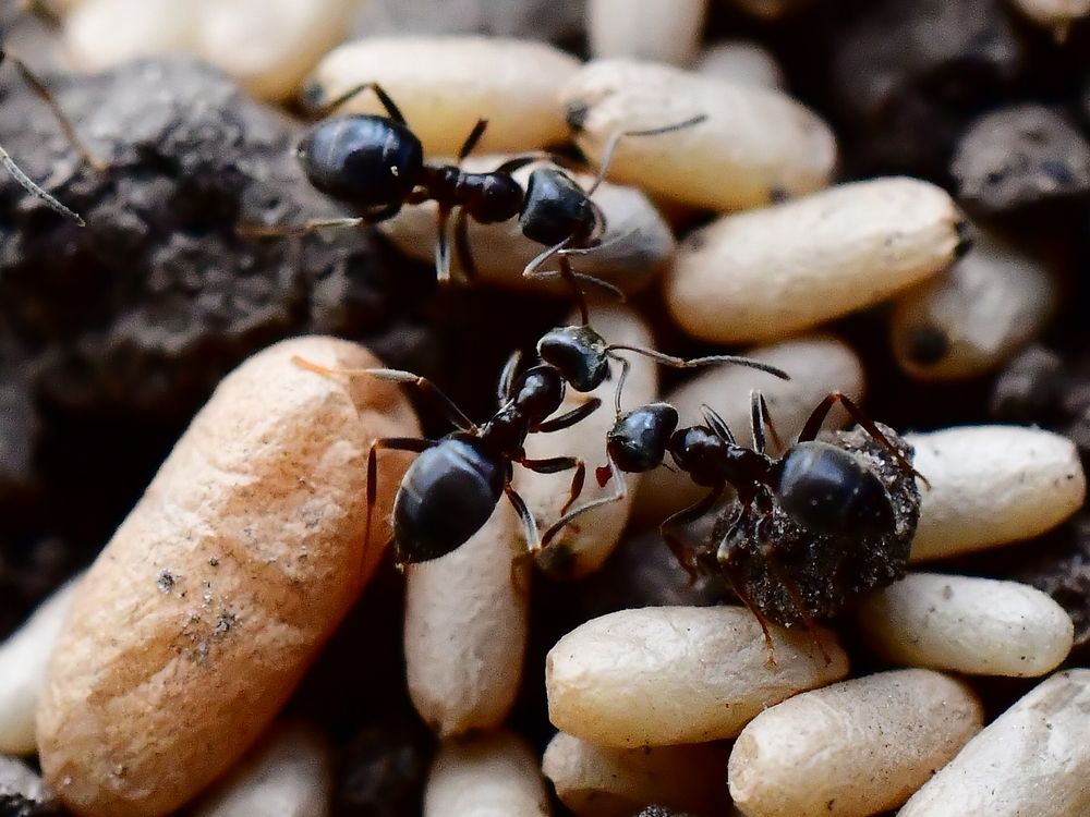 Photograph by Николай Абакумов