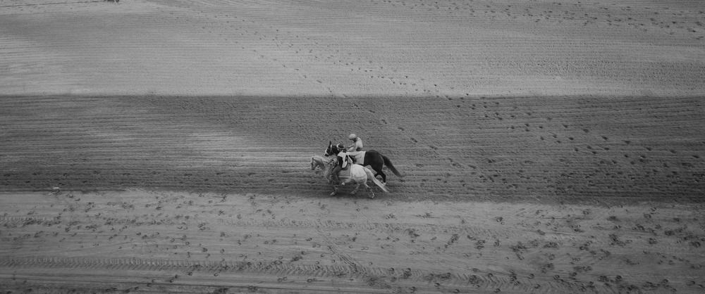 Photo #12291734