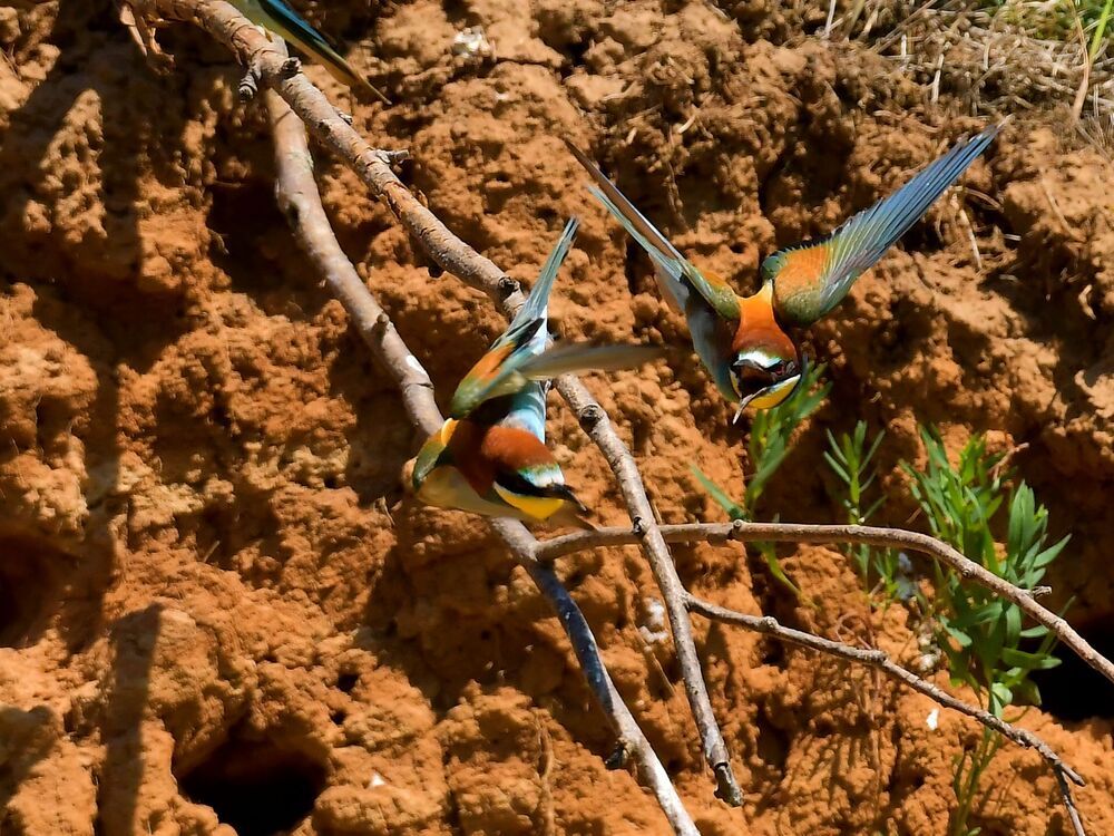 Photograph by Николай Абакумов