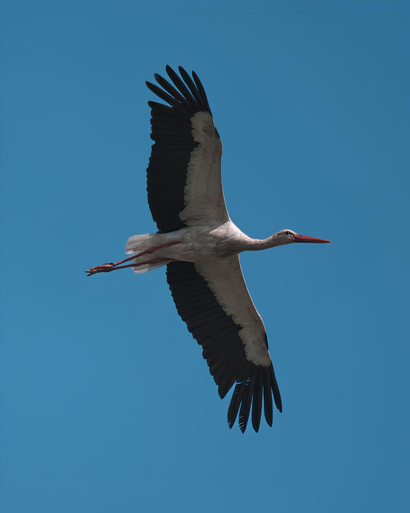 Photograph by Данил Шауба