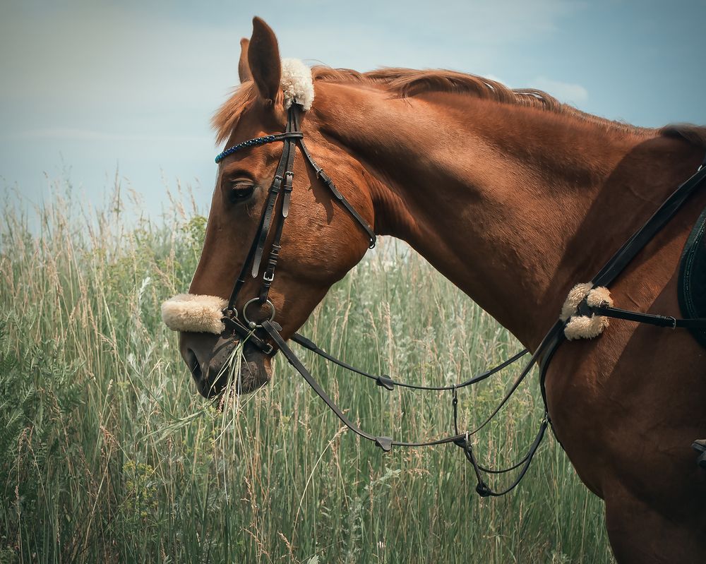 Photograph by Тамара Вотинцева
