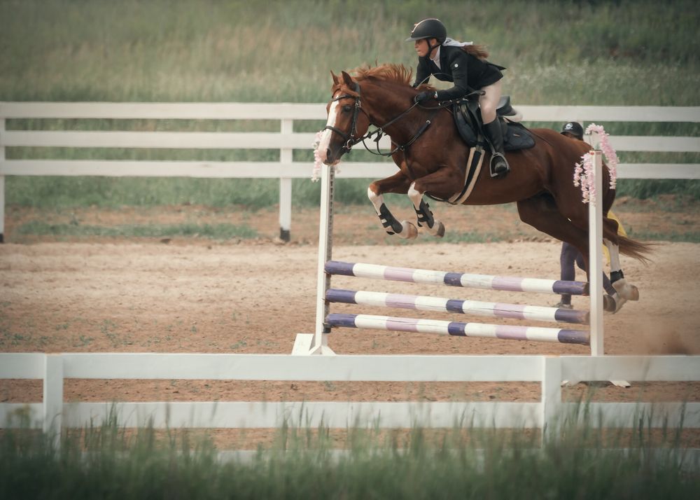 Photograph by Тамара Вотинцева