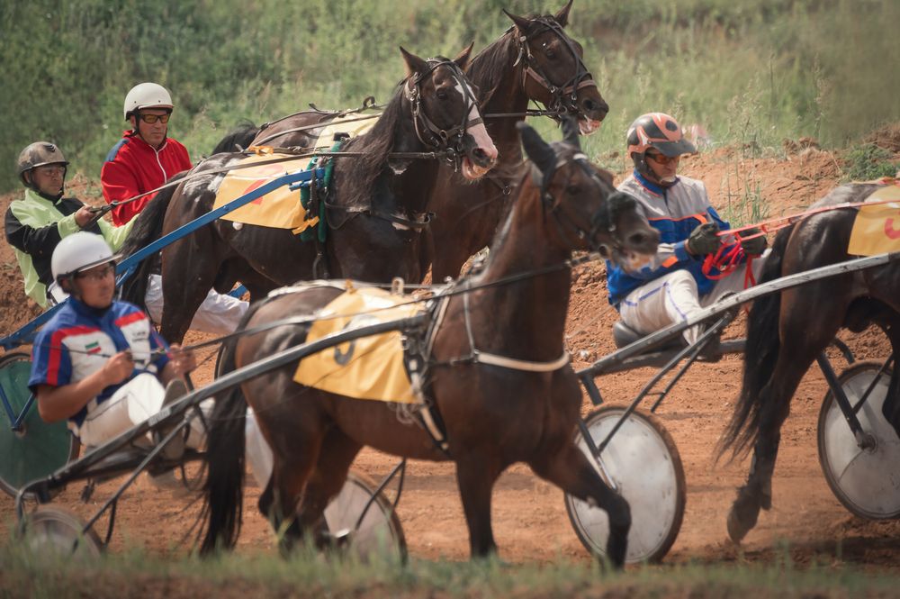 Photograph by Тамара Вотинцева