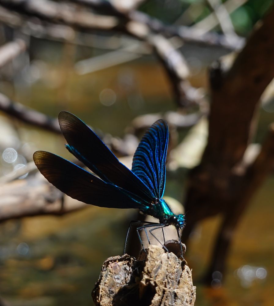 Photograph by Светлана Каравайская