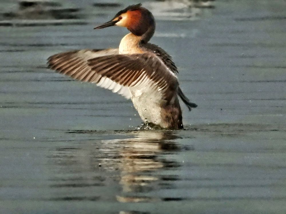 Photograph by Александр Шаварин