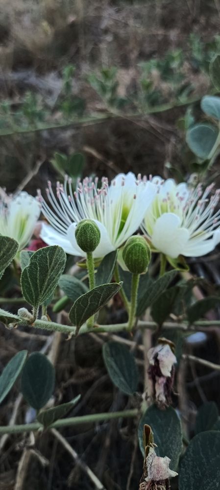 Photograph by Анастасия Никитюк