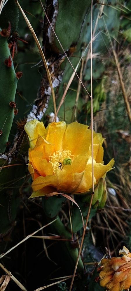 Photograph by Анастасия Никитюк