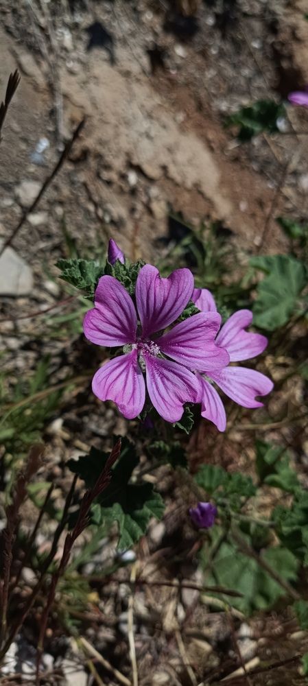 Photograph by Анастасия Никитюк