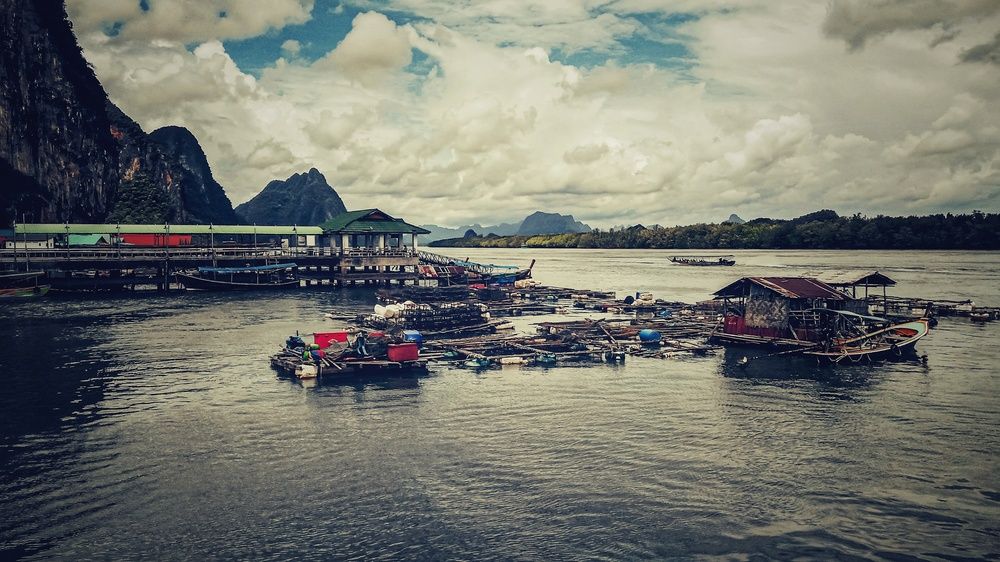 Photograph by Юлия Носкова