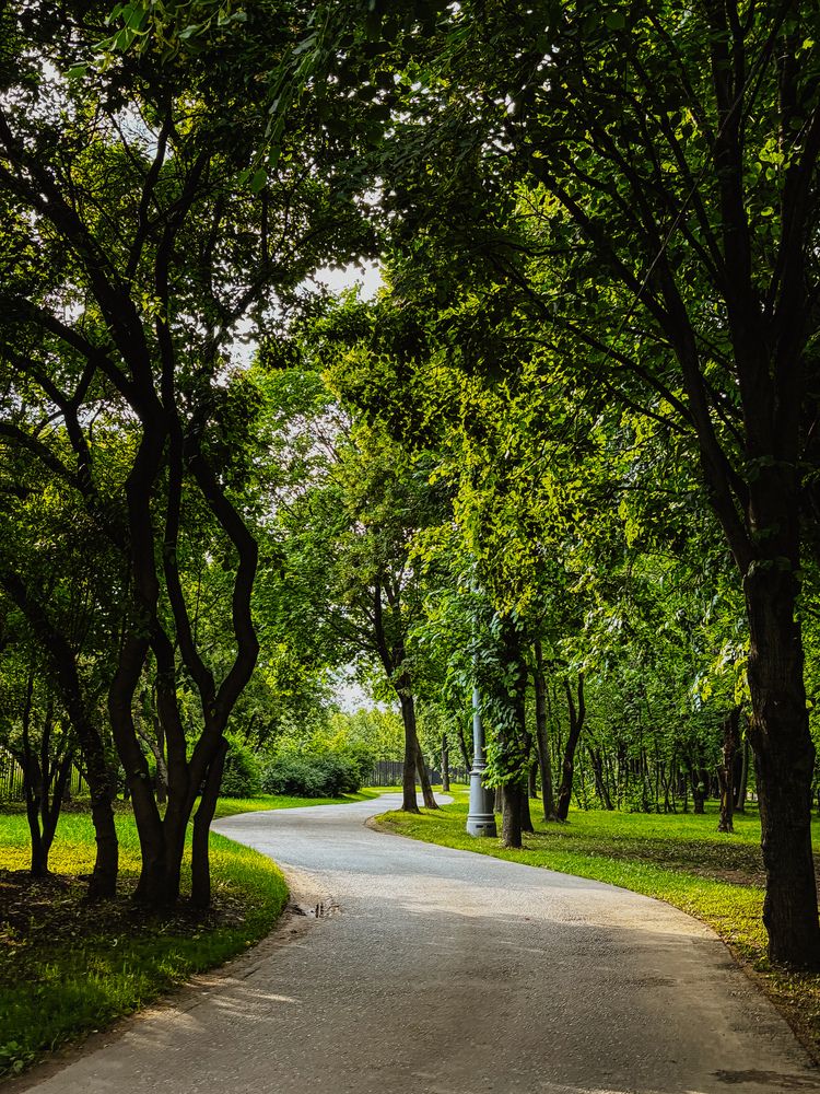 Фотография автора Марина