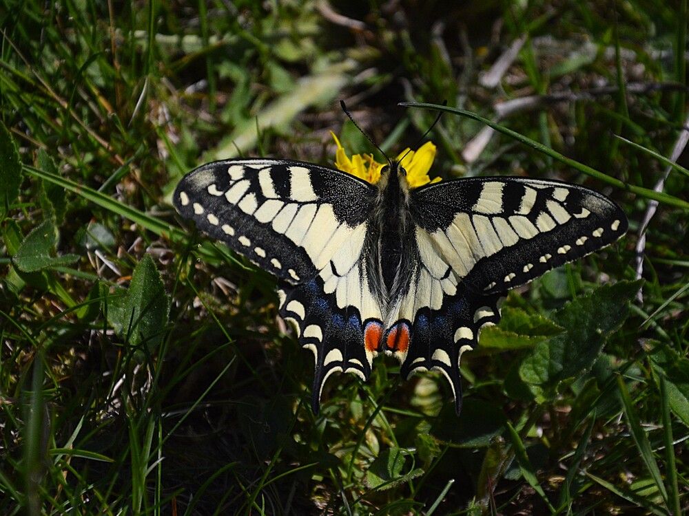 Photograph by Jozef Potocký