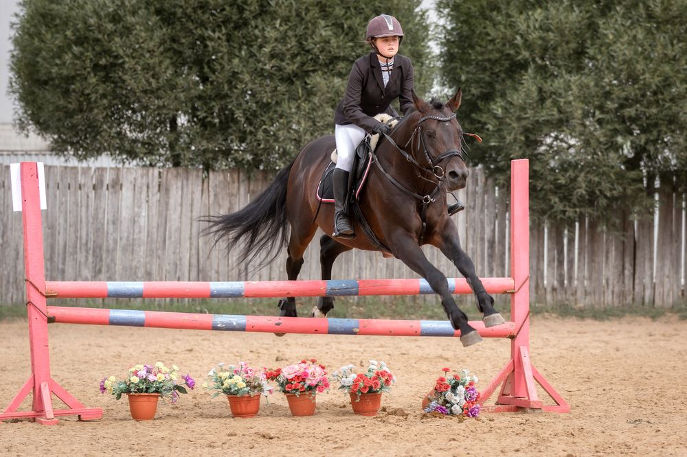 Photograph by Анастасия Петрова