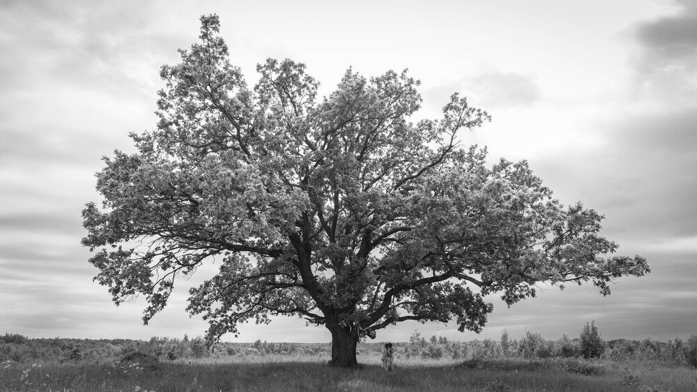 Photograph by Алексей Худяков