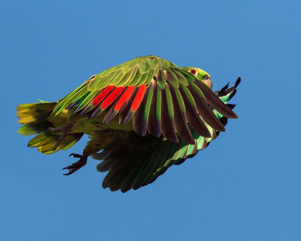 Photograph by Valdir Hobus