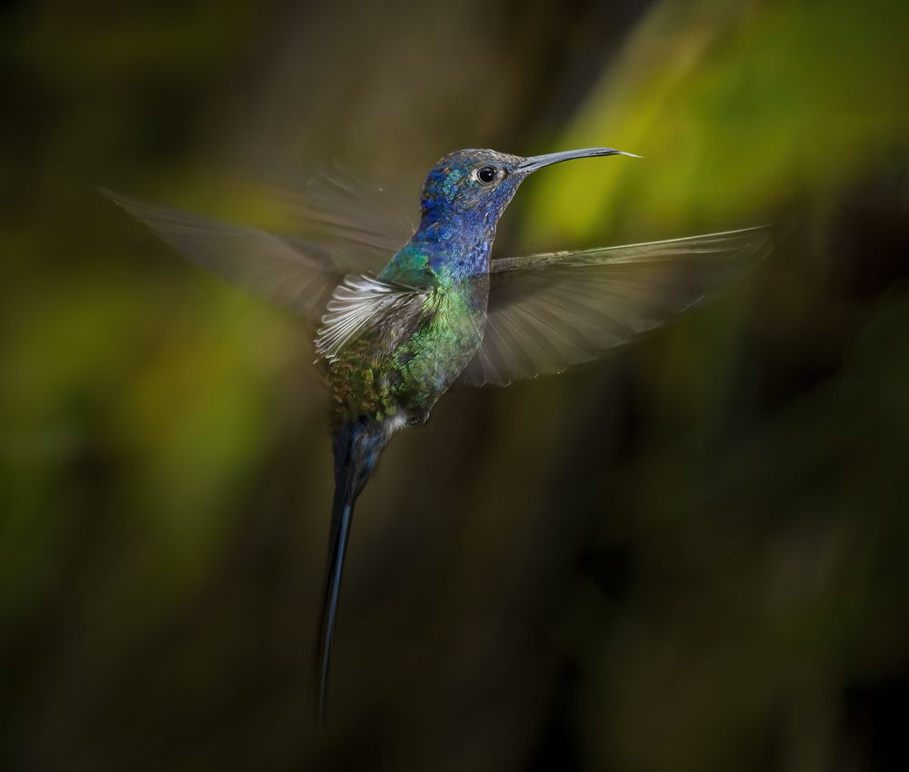 Photograph by Valdir Hobus