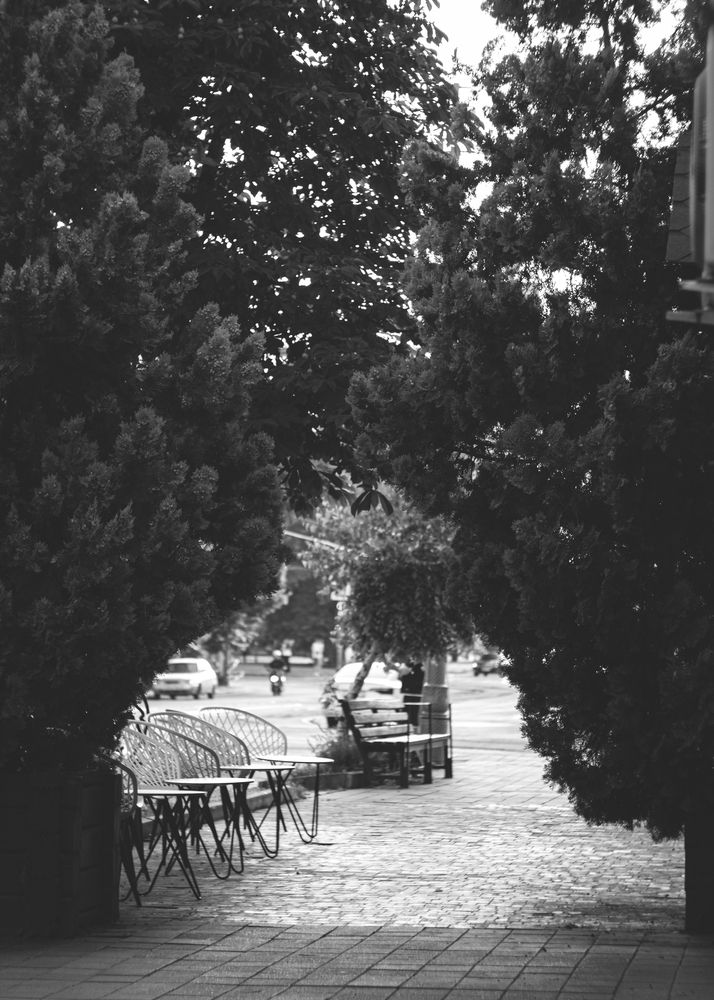 Photograph by Никита Коробейников