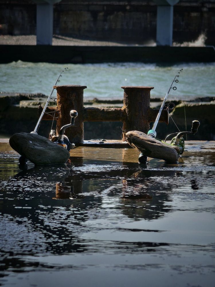 Photograph by Михаил Саидов