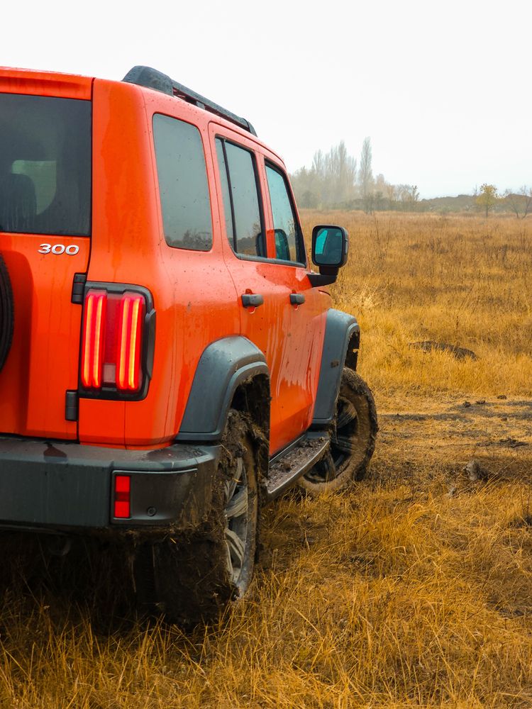 Фотография автора Александров Алексей