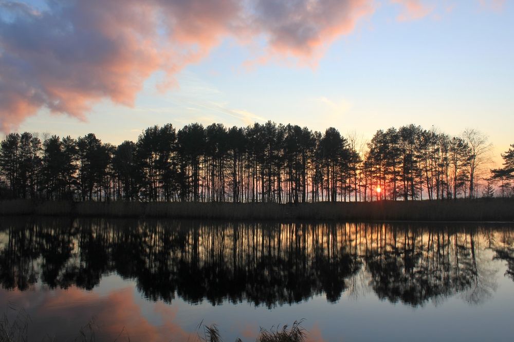 Photograph by Olga Bagaeva