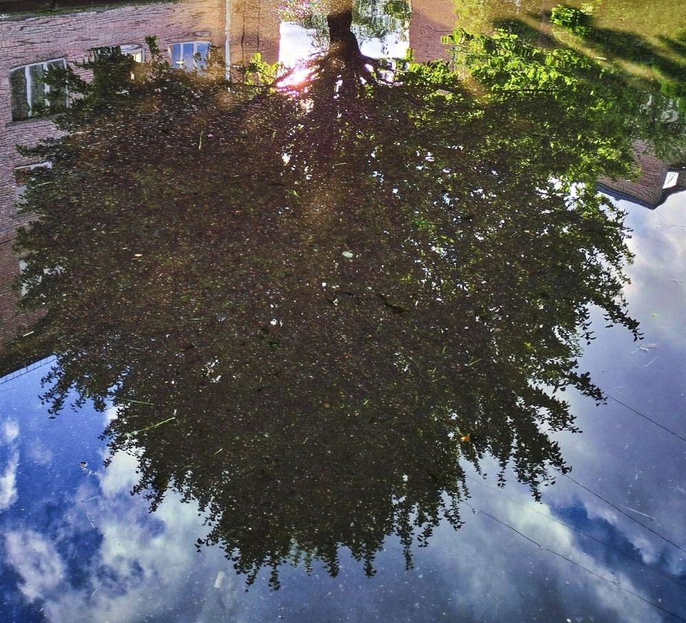 Photograph by Ирина Сергейчук