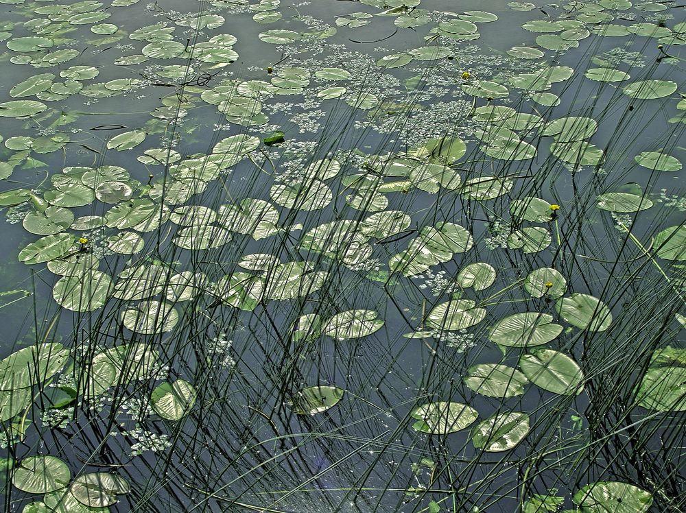 Фотография автора Всеволод