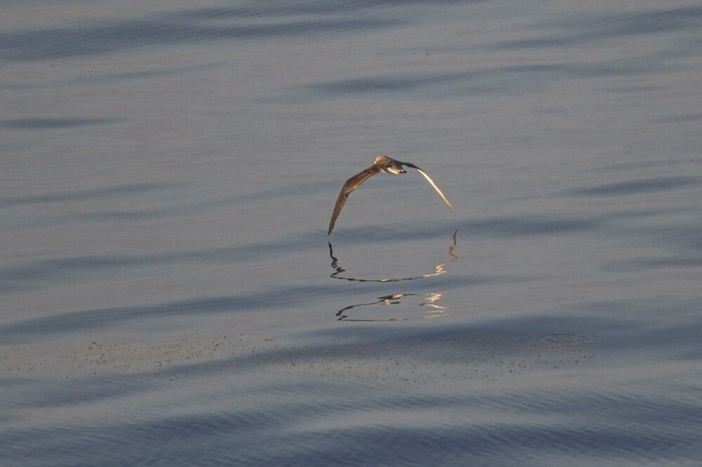 Photograph by Алексей Логинов