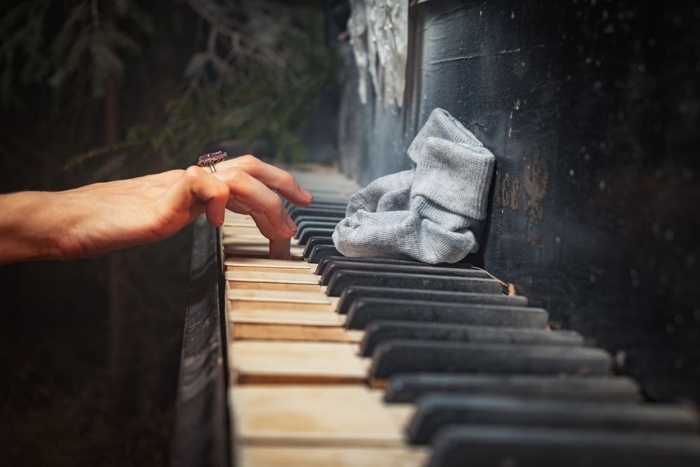 Photograph by Павел Спиваков