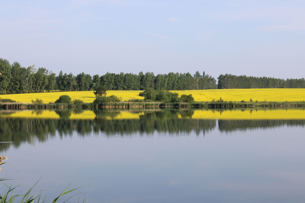 Photograph by Елена Коробченко