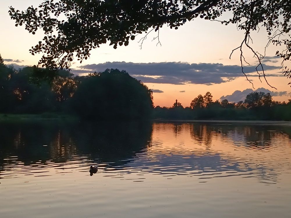 Photograph by ЮЛИЯ ОБРОКОВА