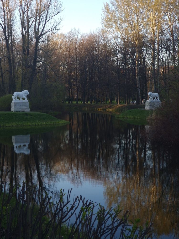 Photograph by Светлана Гордиенко