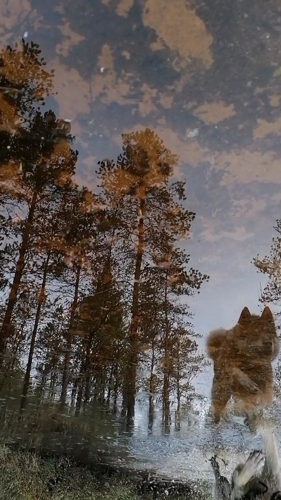 Photograph by Надежда Тимакова