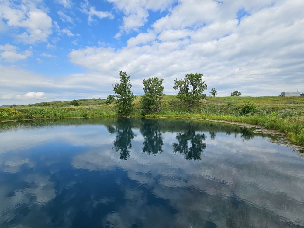 Photograph by Вадим Богатиков