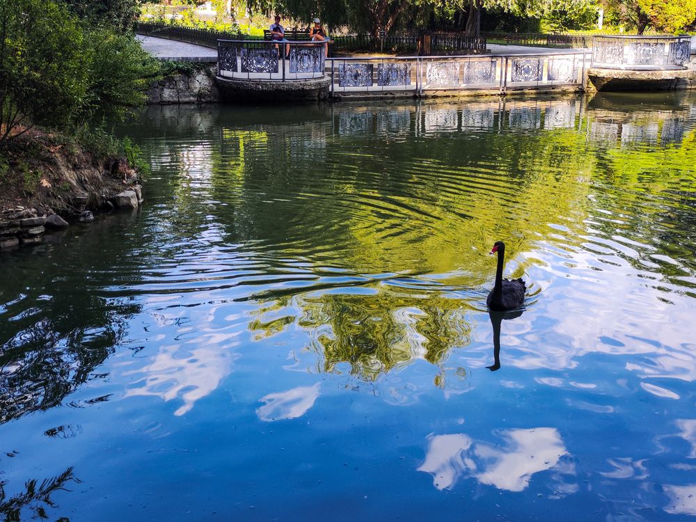 Photograph by Ирина Шибитова