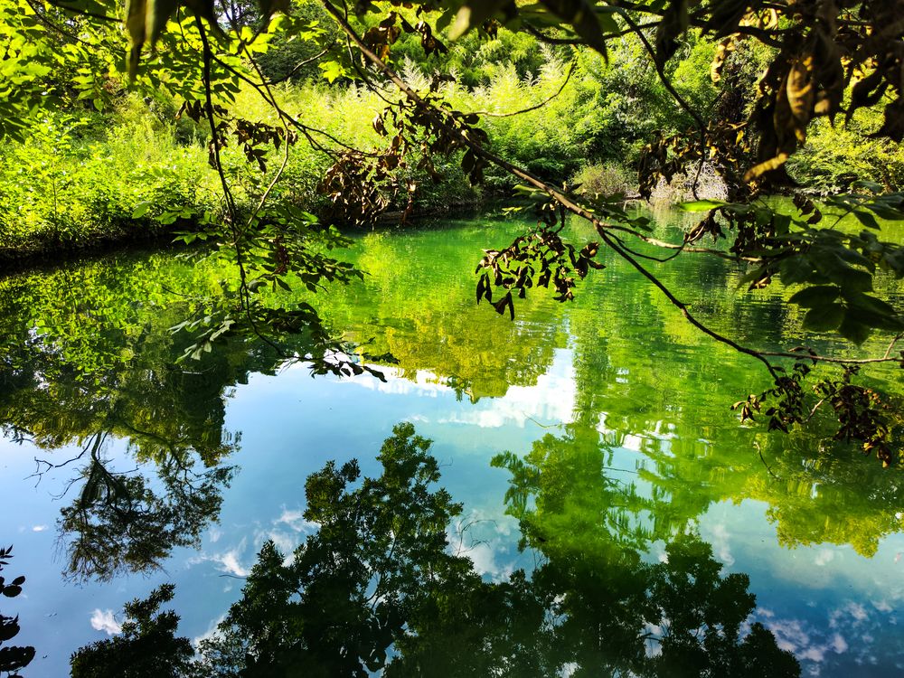 Photograph by Ирина Шибитова