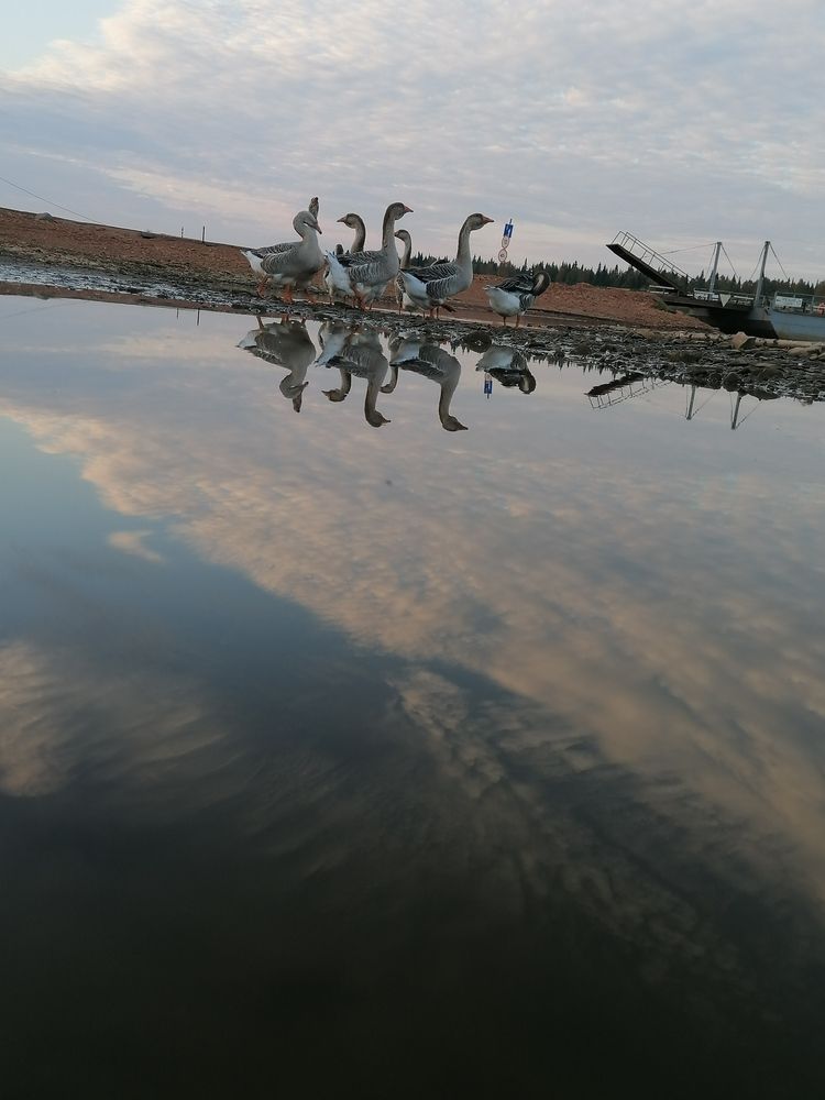 Photograph by Надежда Тимакова