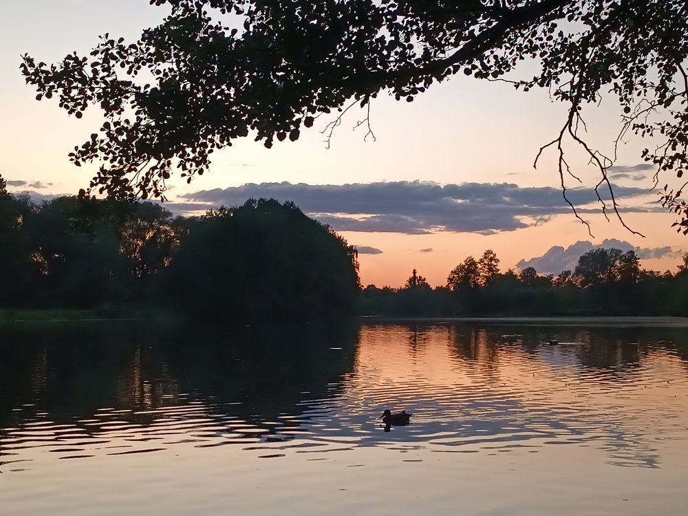 Photograph by ЮЛИЯ ОБРОКОВА