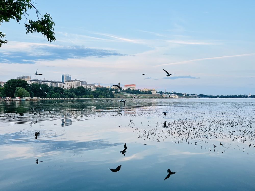 Photograph by Ирина Селиверстова